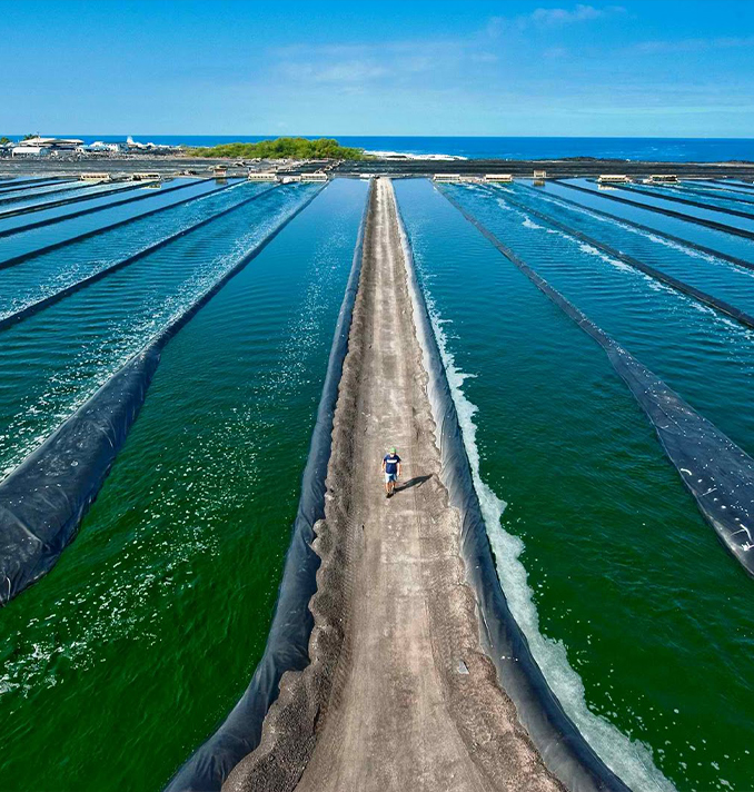 10年的工藝沉淀 · 6大嚴謹生產工藝